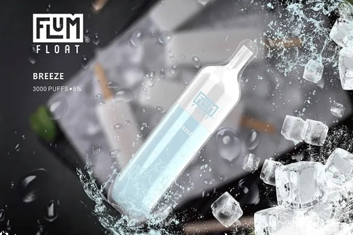 Brise FLUM FLOAT 3000 Züge - FLUM PEBBLE vape price RD8B19