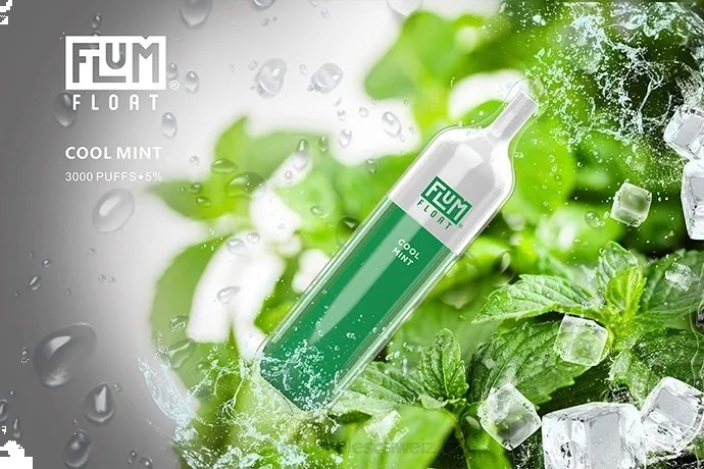 frische Minze FLUM FLOAT 3000 Züge - FLUM PEBBLE flavors RD8B25