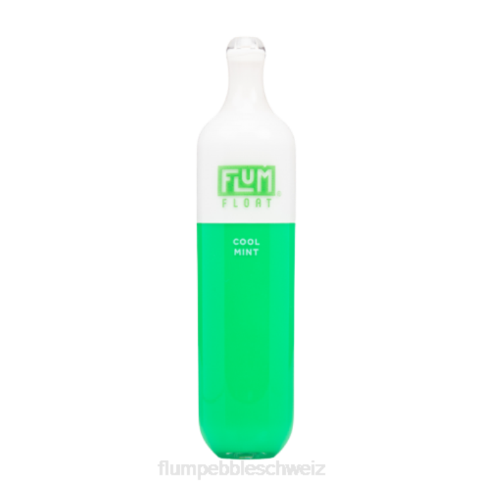 frische Minze FLUM FLOAT 3000 Züge - FLUM PEBBLE flavors RD8B25