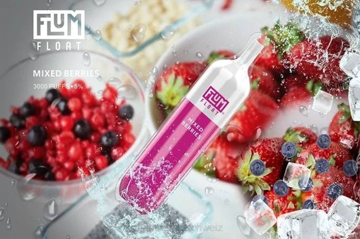 gemischte Beeren FLUM FLOAT 3000 Züge - FLUM PEBBLE vape price RD8B59