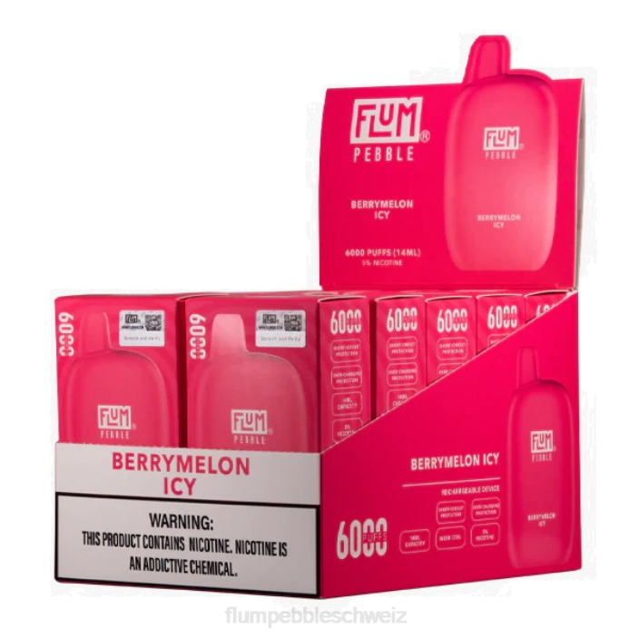Beerenmelone eisig FLUM PEBBLES 6000 Züge 10 Packungen - FLUM PEBBLE review RD8B8