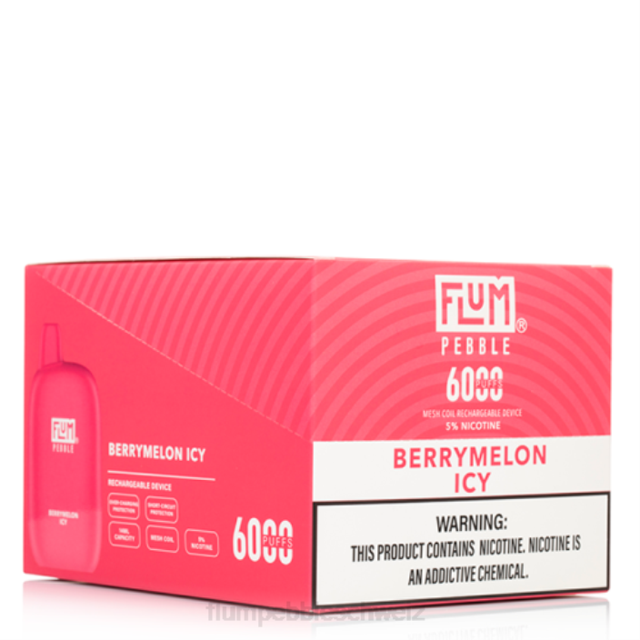 Beerenmelone eisig FLUM PEBBLES 6000 Züge 10 Packungen - FLUM PEBBLE review RD8B8