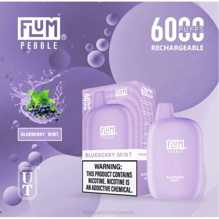 Blaubeerminze FLUM PEBBLES 6000 Züge - FLUM PEBBLE best flavor RD8B17