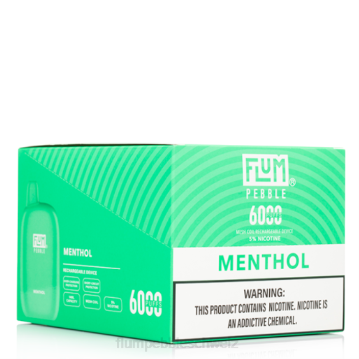 Menthol FLUM PEBBLES 6000 Züge 10 Packungen - FLUM PEBBLE review RD8B58