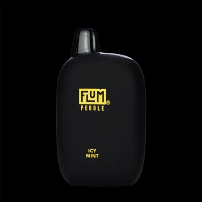eisige Minze FLUM PEBBLES 6000 Züge - FLUM PEBBLE vape price RD8B49