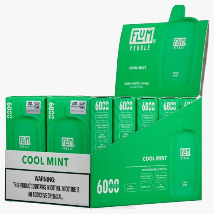 frische Minze FLUM PEBBLES 6000 Züge 10 Packungen - FLUM PEBBLE near me RD8B26